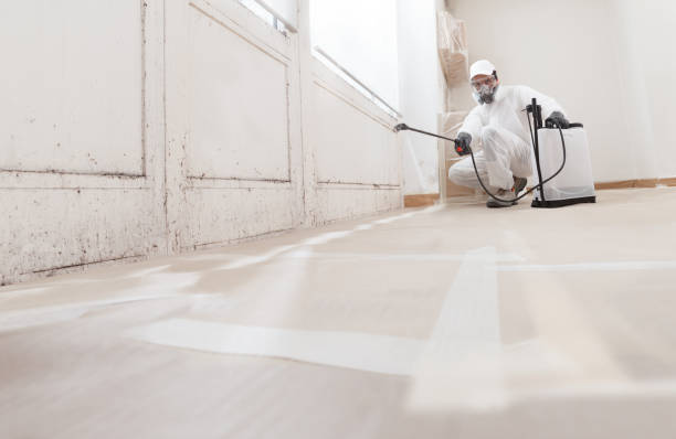 24/7 Emergency Mold Remediation experts in Columbia, MD