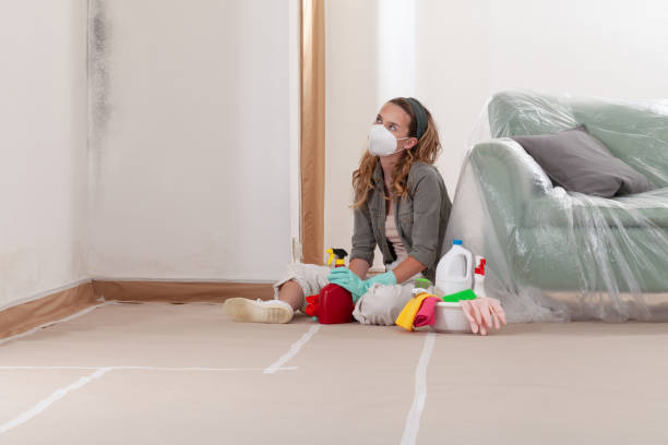 Reliable Mold Remediation contractor in Columbia, MD by Car Mold Remediation